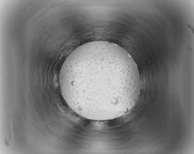 X0000102000187200807180857