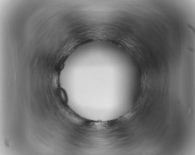 X0000102000188200807180857