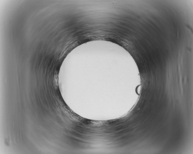 X0000102000190200807180857