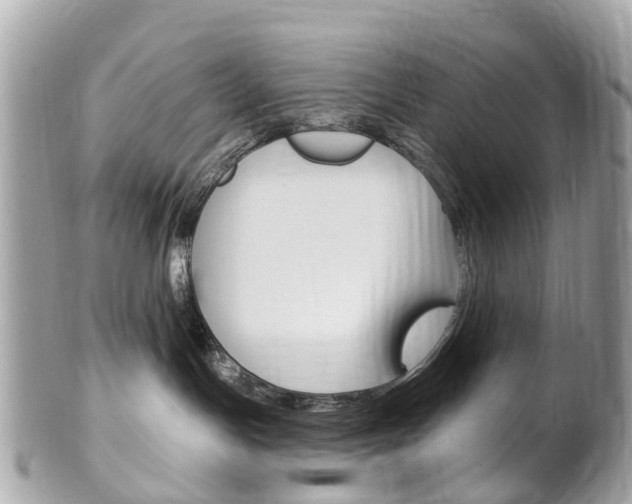 X0000102000191200807180857