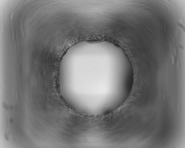 X0000102000192200807180857