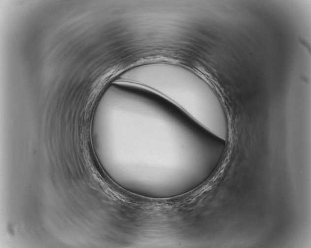 X0000102000193200807180856