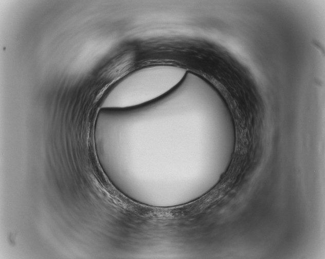 X0000102000194200807180856