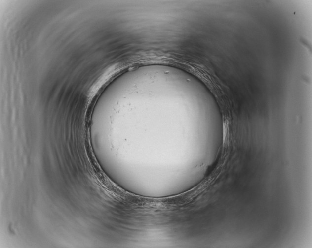 X0000102000195200807180856