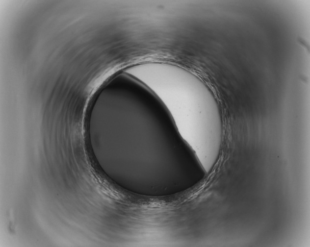 X0000102000196200807180856