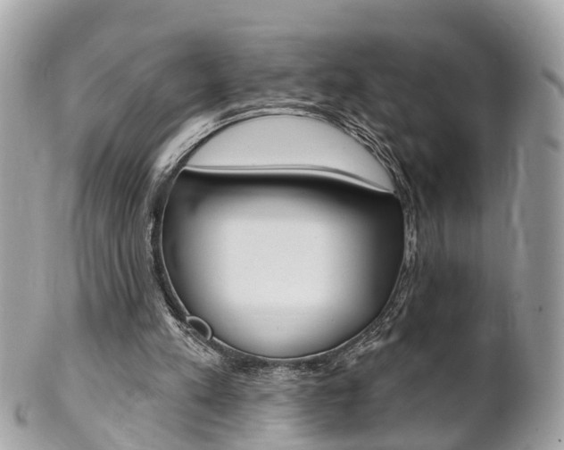 X0000102000197200807180856