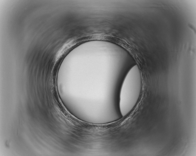 X0000102000198200807180856