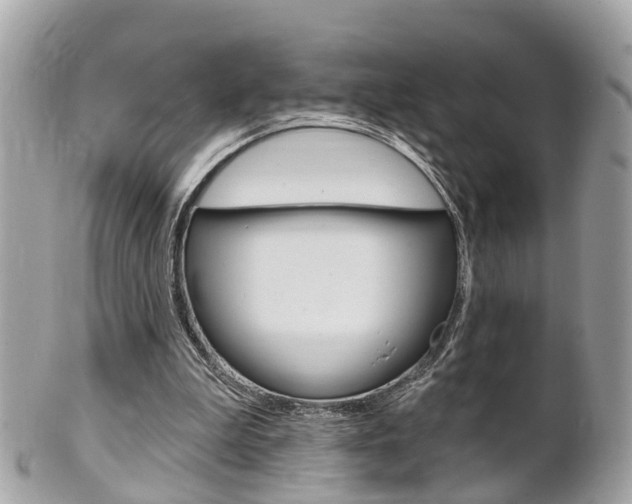 X0000102000199200807180856