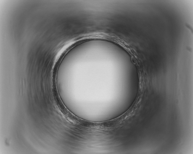 X0000102000200200807180856