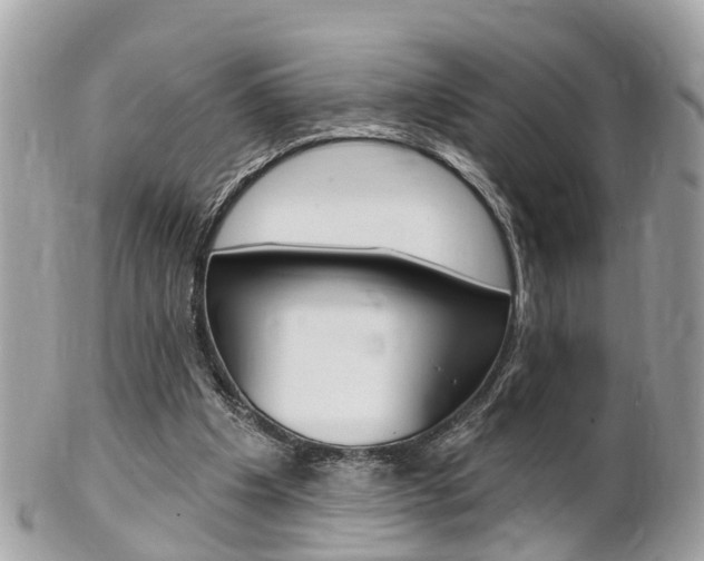 X0000102000201200807180856