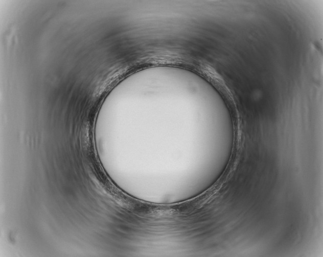 X0000102000202200807180856