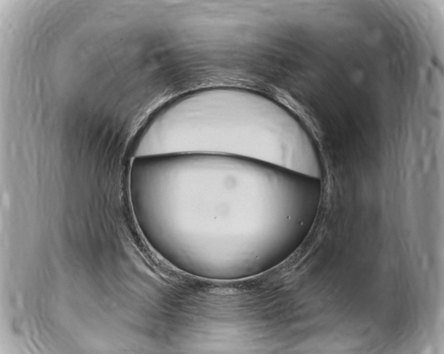 X0000102000203200807180856