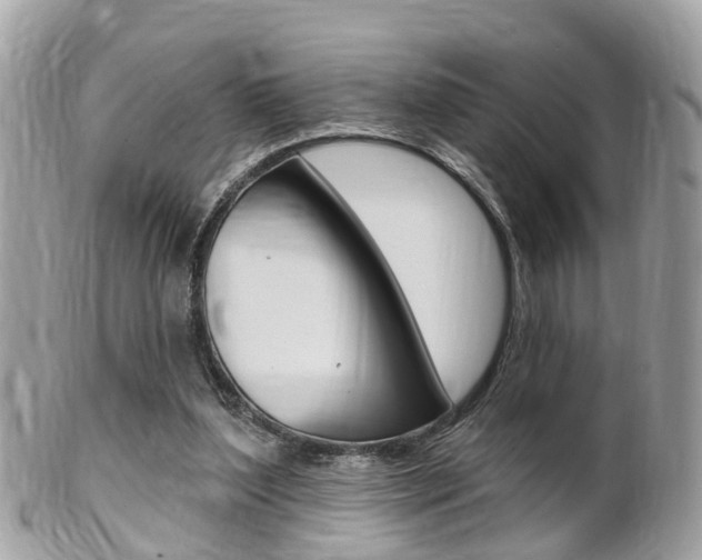 X0000102000204200807180856