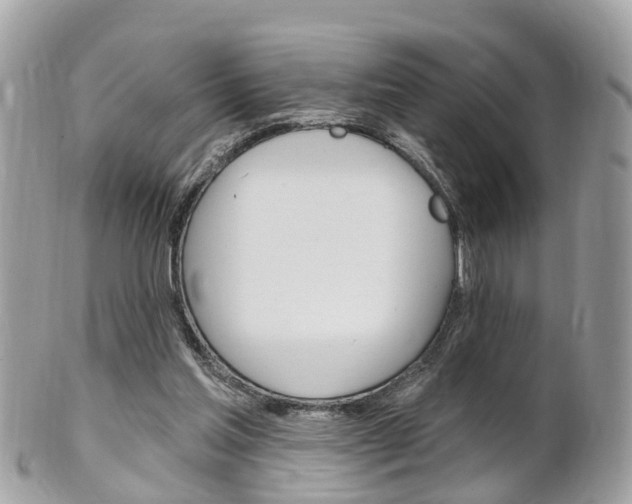 X0000102000205200807180856