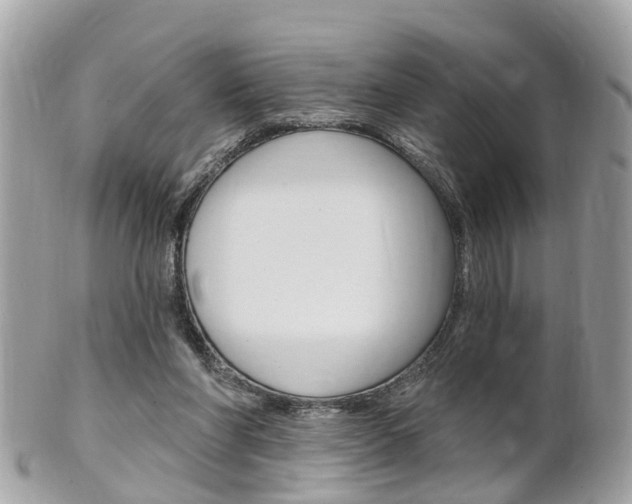 X0000102000206200807180856