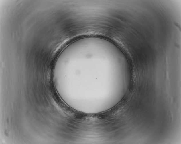 X0000102000208200807180856