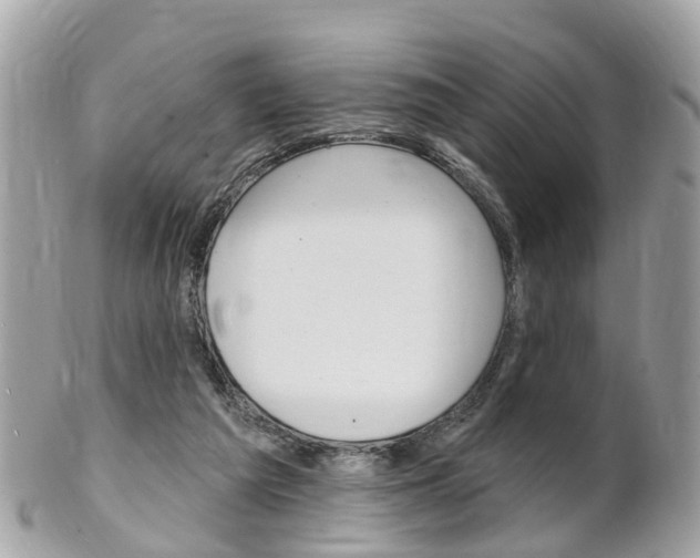 X0000102000209200807180856