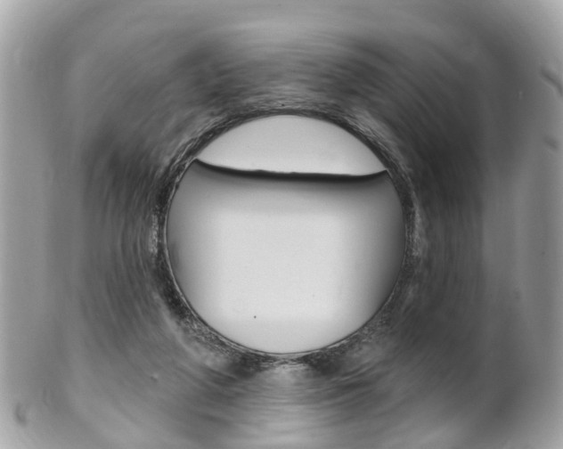 X0000102000210200807180856