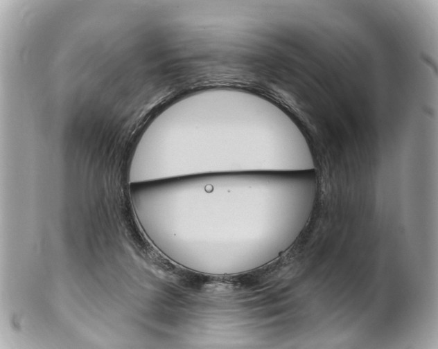 X0000102000211200807180856