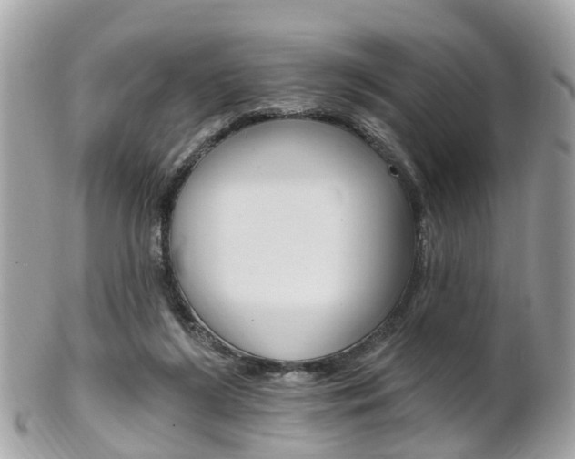 X0000102000212200807180856