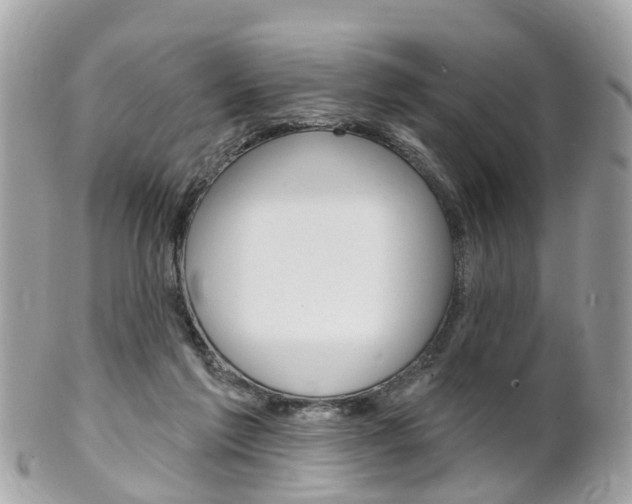 X0000102000213200807180856