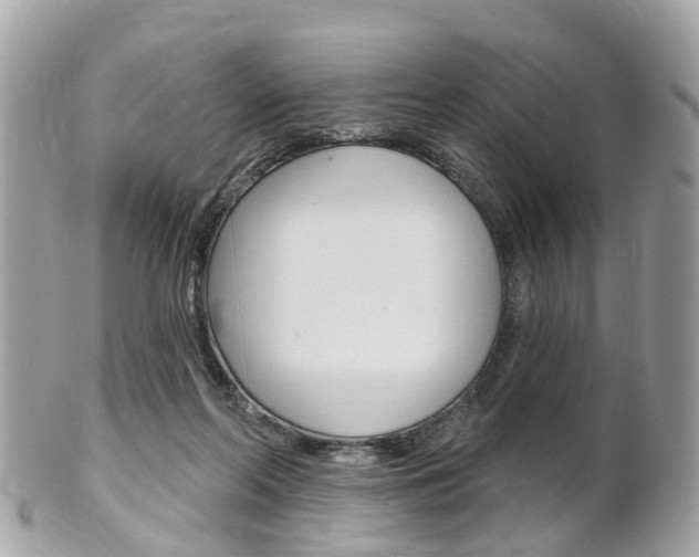 X0000102000214200807180856