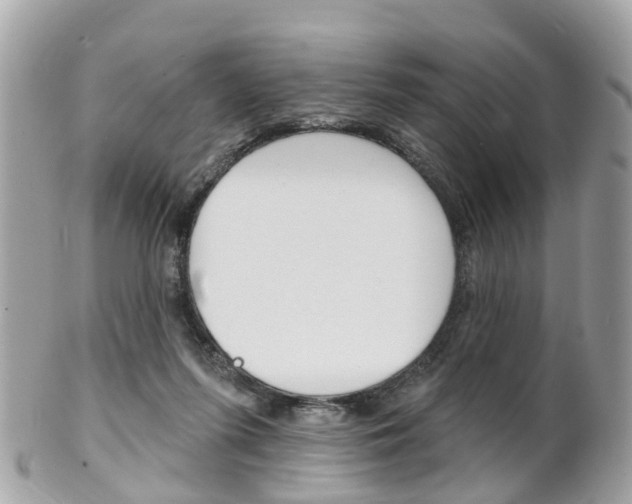 X0000102000215200807180856