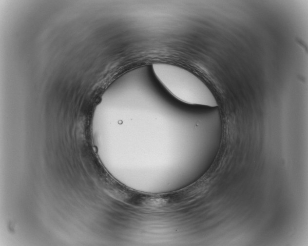 X0000102000217200807180856