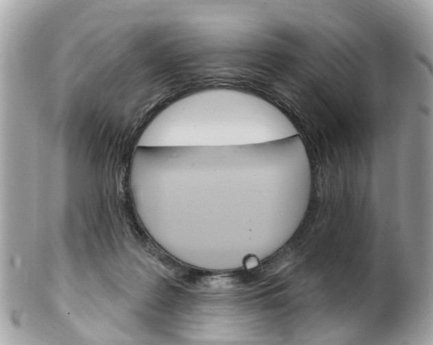 X0000102000219200807180856