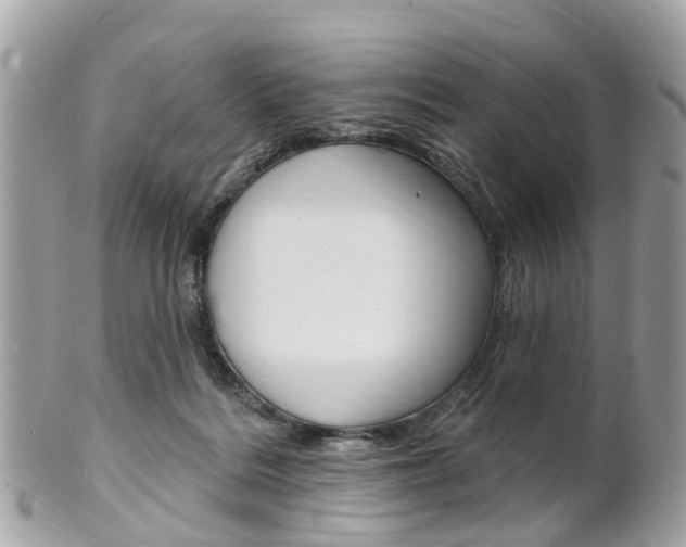 X0000102000220200807180856