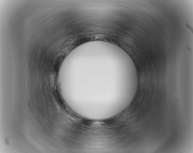 X0000102000222200807180856