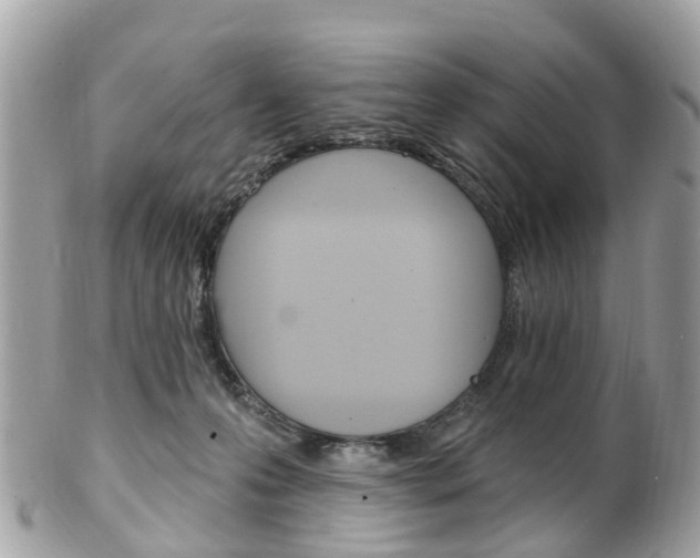 X0000102000223200807180856