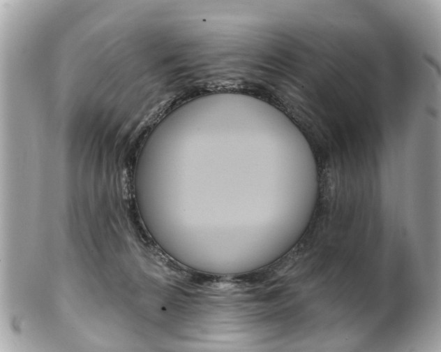 X0000102000224200807180856