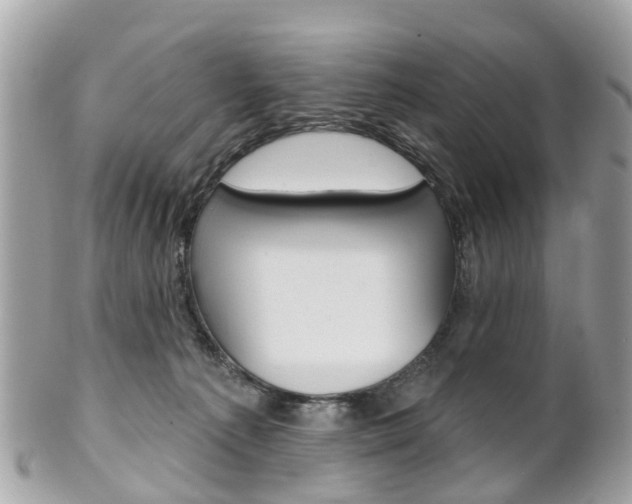 X0000102000225200807180856