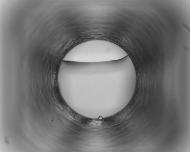 X0000102000227200807180856