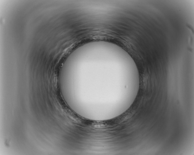 X0000102000228200807180856