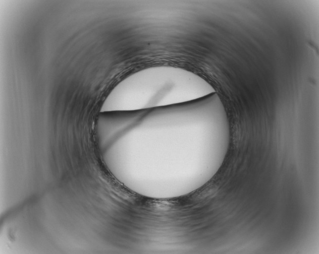 X0000102000229200807180856