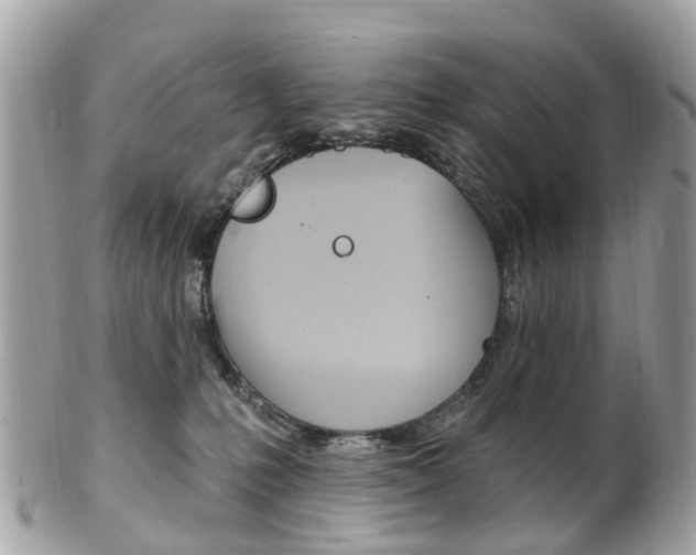 X0000102000231200807180856