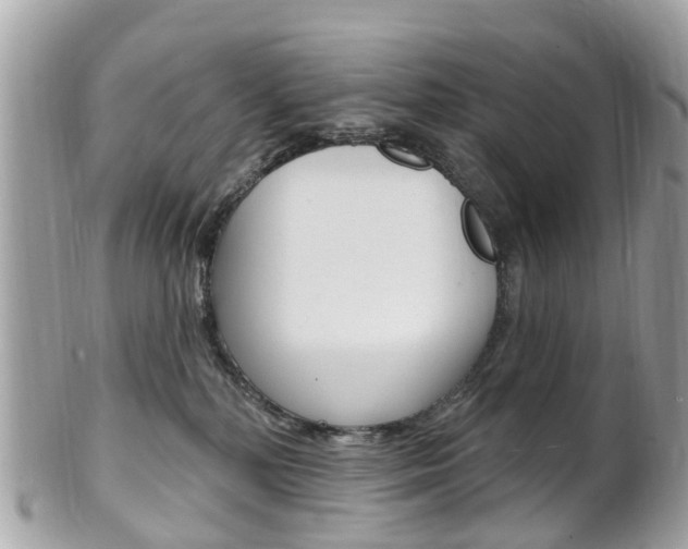 X0000102000232200807180856