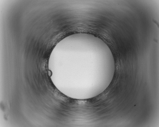 X0000102000233200807180856