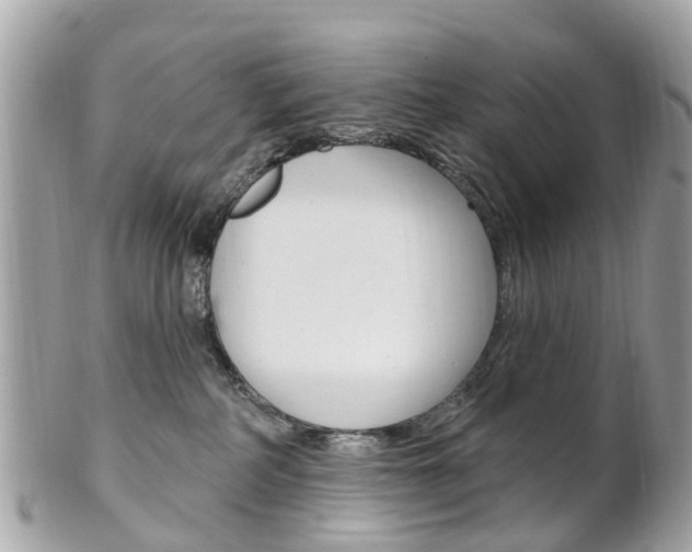 X0000102000234200807180856