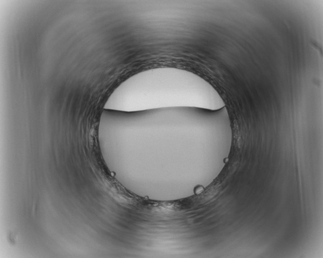 X0000102000235200807180856