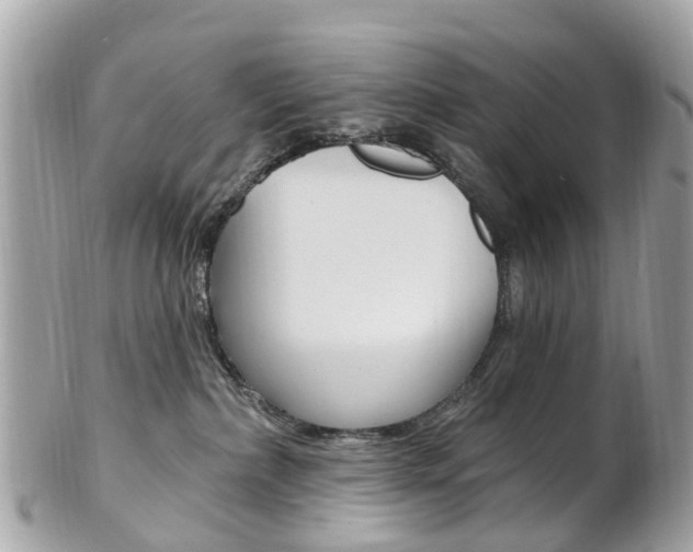 X0000102000236200807180856