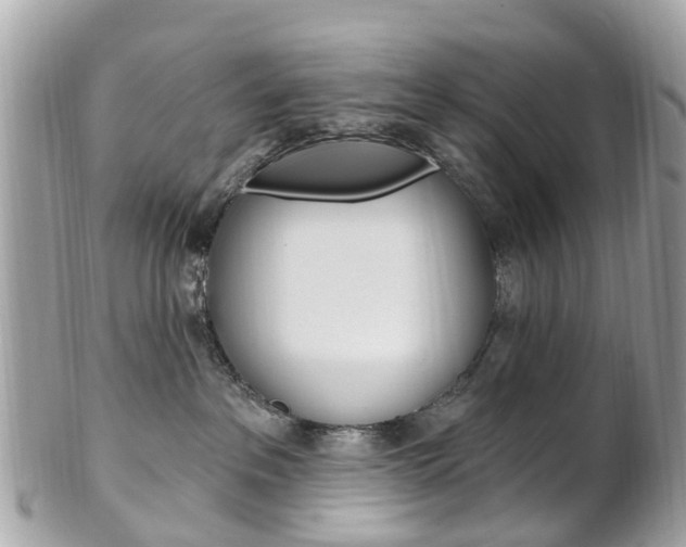 X0000102000237200807180856