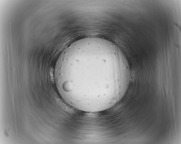 X0000102000238200807180855