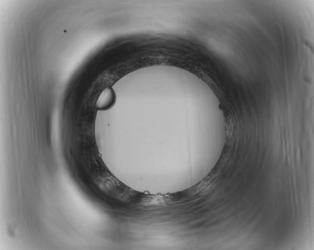 X0000102000239200807180855