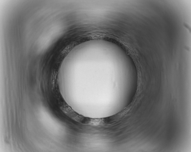 X0000102000240200807180855