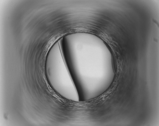 X0000102000241200807180855