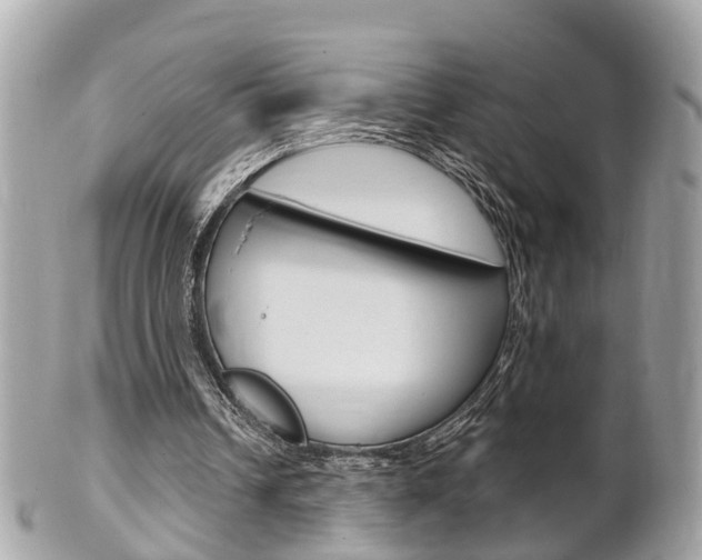 X0000102000242200807180855