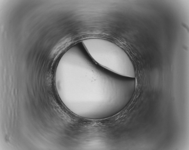 X0000102000243200807180855